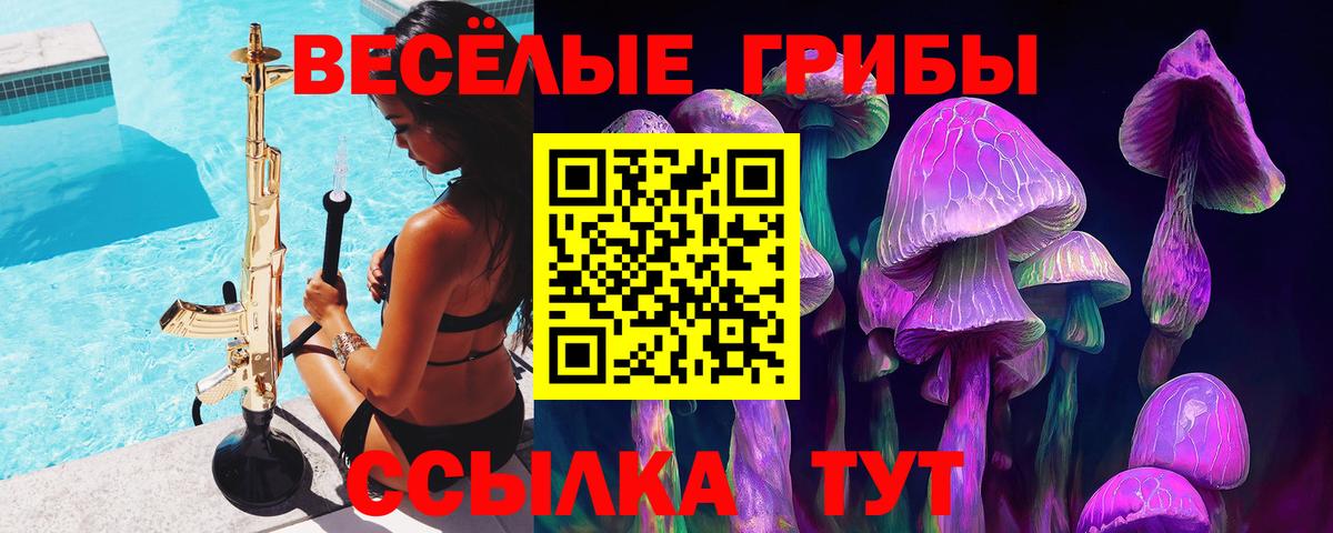 Казань  Псилоцибиновые грибы Cubensis  Вход с VPN 