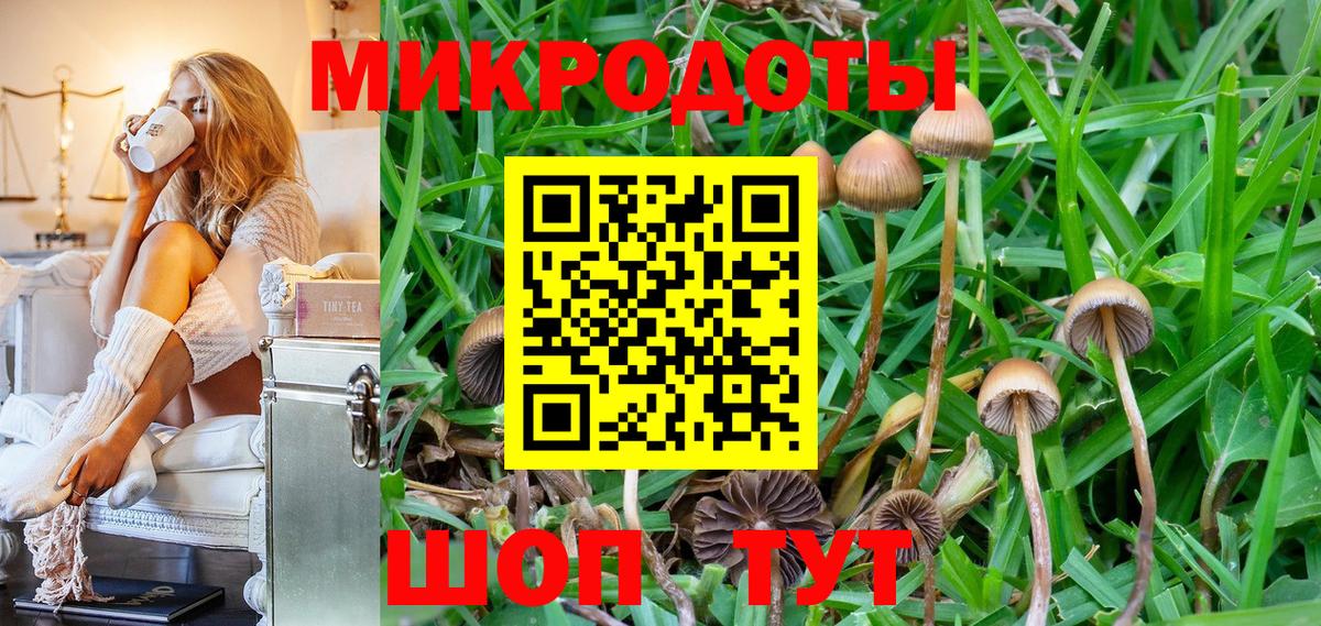 Псилоцибиновые грибы мухоморы Казань